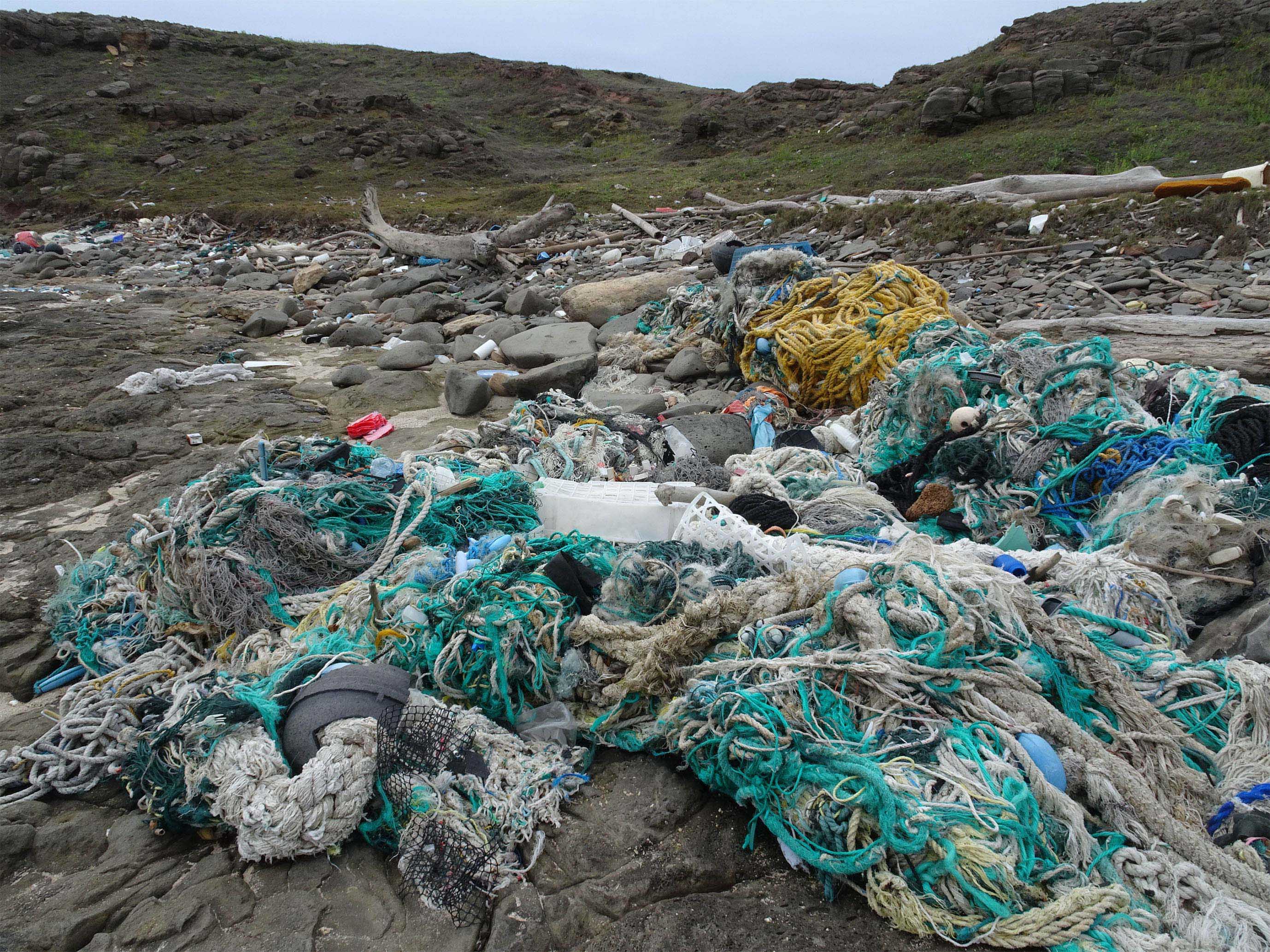 淨灘，澎湖，望安，海廢，垃圾，回收